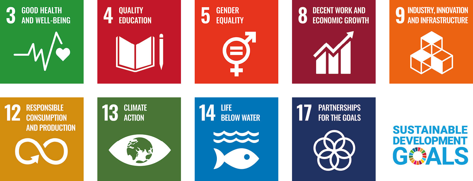 Overview of the Sustainable Development Goals (SDGs)